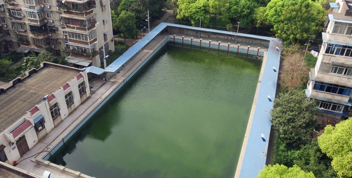 游泳池水變綠是什么原因？游泳池水處理方法