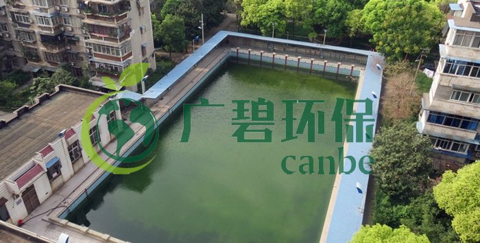 游泳池水變綠是什么原因？游泳池水處理方法(圖1)